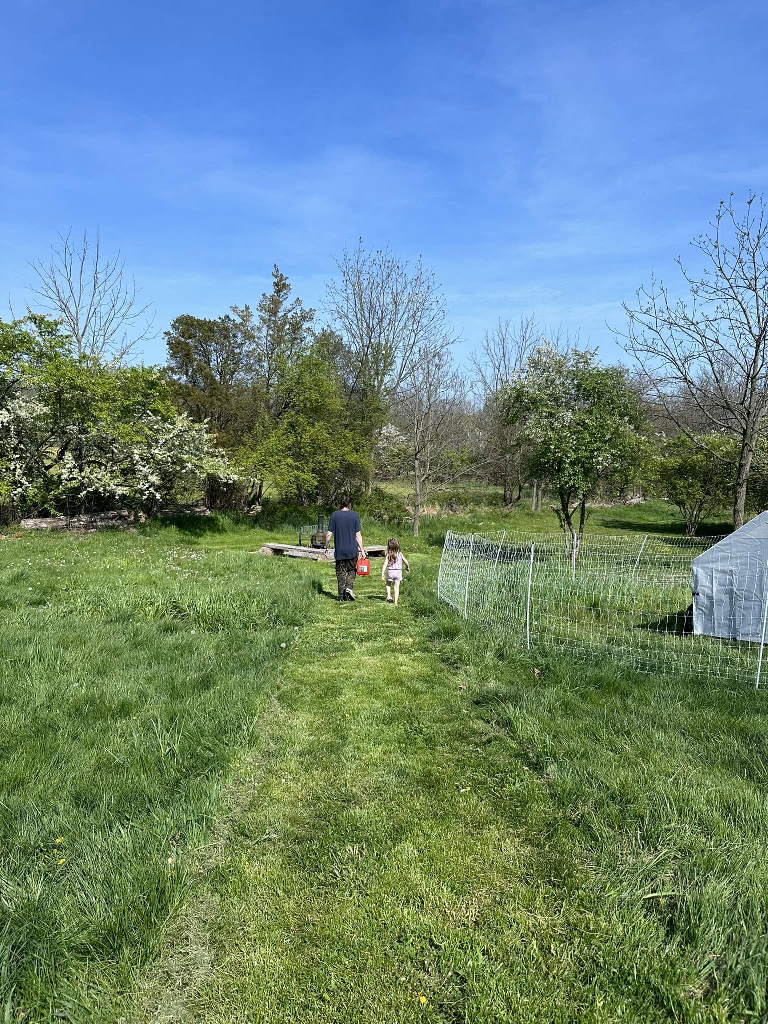 Long path toward the woods